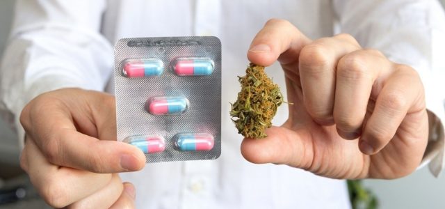 Cannabis can Lead to Decrease in Opioid Consumption