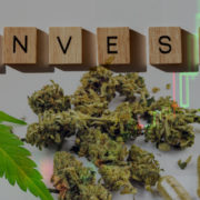 Cannabis Stocks To Watch: Are You Buying The Dips?