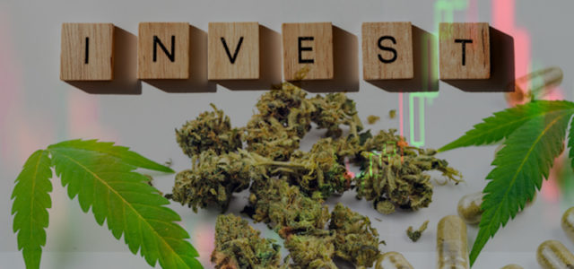 Cannabis Stocks To Watch: Are You Buying The Dips?