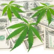 Canopy Growth Corp: A Pot Stock for Long-Term Investors?