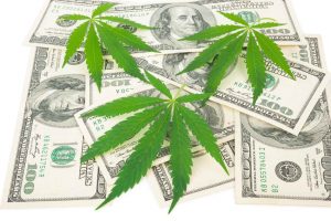 Canopy Growth Corp: A Pot Stock for Long-Term Investors?