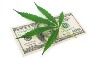 IIPR Stock Up 800%: Does It Still Have Upside with U.S. Legalization So Close?