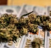 Is This Marijuana Stock Set for an Acquisition?