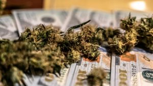 Is This Marijuana Stock Set for an Acquisition?