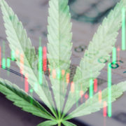 Looking To Invest In Marijuana Stocks? 2 Cannabis Stocks To Watch Next Week