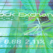Making A Watchlist Of Top Marijuana Stocks For February 2021? 2 Of The Best Cannabis Stocks Right Now