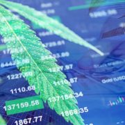 Marijuana Stocks To Watch Next Week In February