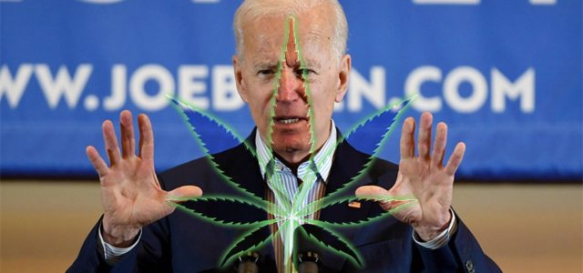 Members Of Congress Push Biden For Wide Scale Cannabis Pardon’s