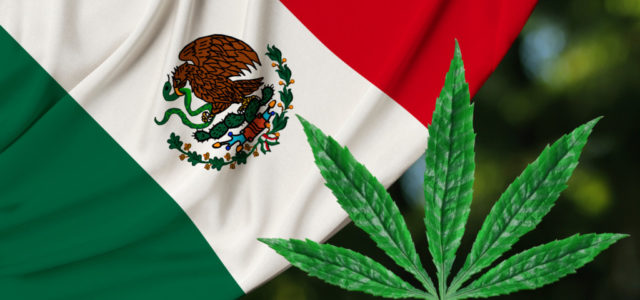 Mexico Could Soon Become the Largest Legal Marijuana Market in the World