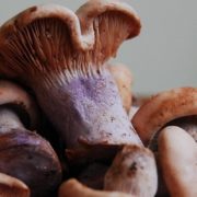 Texas Would Study Psilocybin And MDMA To Treat PTSD And Depression Under New Bill