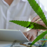 Which Of These 2 Cannabis Stocks Is A Better Investment?