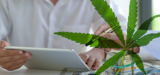 Which Of These 2 Cannabis Stocks Is A Better Investment?