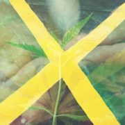 Will Jamaica Be Able To Recover From Its Current Cannabis Shortage?