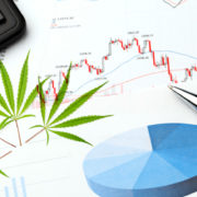 Will These Marijuana Stocks Be Top Plays In 2021?