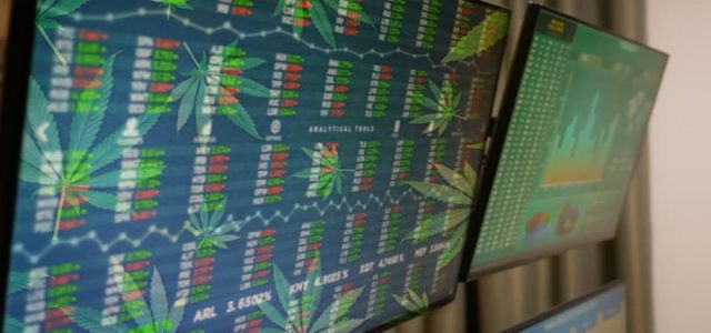 Will These Marijuana Stocks See Better Trading In 2021?