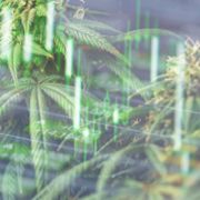 2 Canadian Marijuana Stocks Primed For Gains In The Market