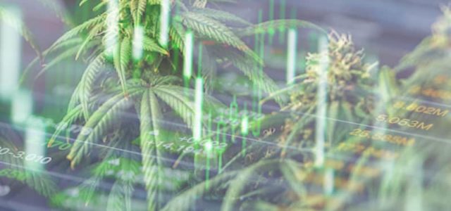 2 Canadian Marijuana Stocks Primed For Gains In The Market