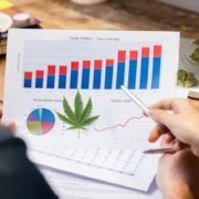 2 Marijuana Stocks To Watch After Recent Declines In The Market