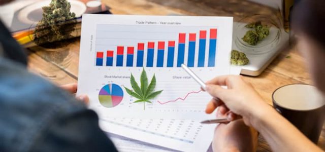 2 Marijuana Stocks To Watch After Recent Declines In The Market