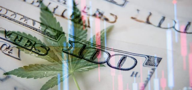 2 Marijuana Stocks To Watch That Investors Should Know About