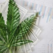 3 Marijuana Stock To Watch This Monday