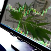 Are These Marijuana Stocks Going To Pick Up In Trading?