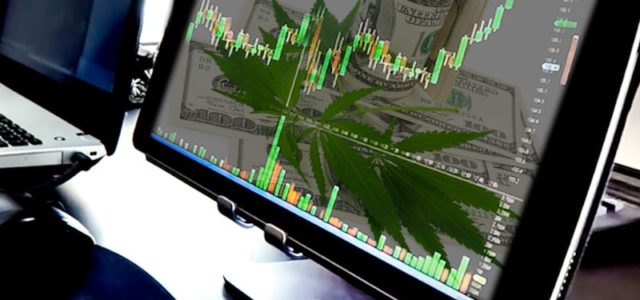 Are These Marijuana Stocks Going To Pick Up In Trading?