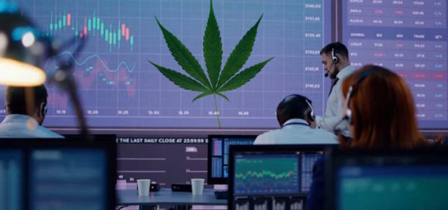 Are These Marijuana Stocks On Your Radar This Month?