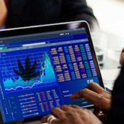 Are These Marijuana Stocks To Buy Right Now In 2021