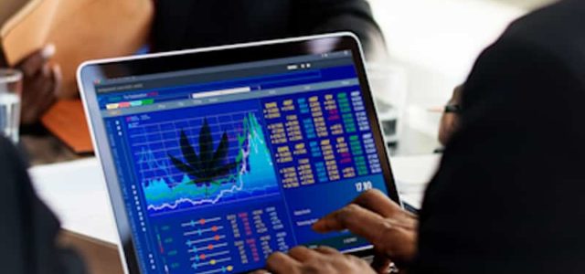 Are These Marijuana Stocks To Buy Right Now In 2021