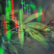 Are These The Top Marijuana Stocks To Watch And Invest In? 2 With Strong Financials