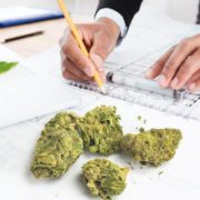 Are You Watching New SPAC Cannabis Stocks In The Market?