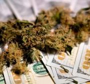 As Economy Gets Ready for Massive Recovery, What Does it Mean for Pot Stocks?