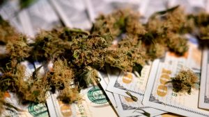 As Economy Gets Ready for Massive Recovery, What Does it Mean for Pot Stocks?