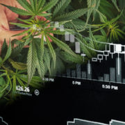 Best Marijuana Stocks For March 2021? 2 Cannabis Stocks That Could See Gains