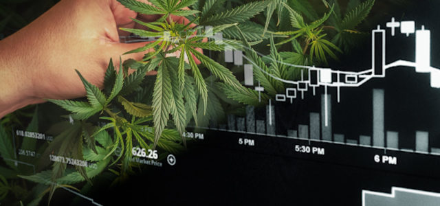 Best Marijuana Stocks For March 2021? 2 Cannabis Stocks That Could See Gains