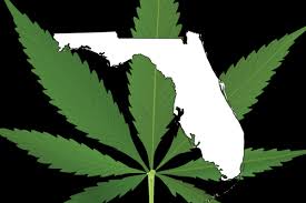 Florida lawmakers to consider bill limiting amount of THC in medical marijuana