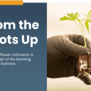 From the Roots Up: A Guide for Hemp Cultivators