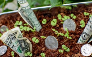 GrowGeneration Corp: 10x Return from a “Pick-and-Shovel” Pot Stock?