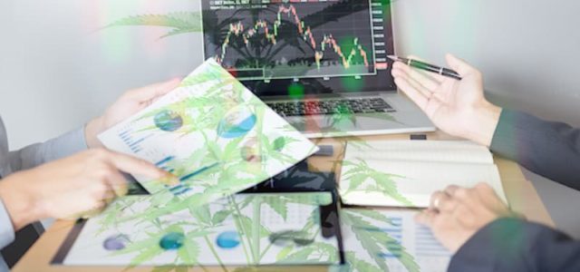 Hot Marijuana Stocks To Add To Your Portfolio This Week