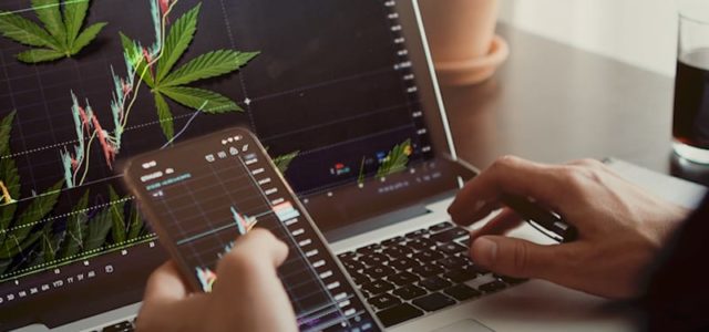 How To Buy Marijuana Stocks Off The Dip
