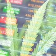 Looking For Good Marijuana Stocks To Buy? 2 Cannabis Stocks To Watch This Month