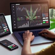 Looking For Marijuana Stocks To Buy? 2 Analysts Predict Will Gain over 114% and 272%