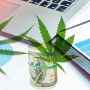 Looking For Marijuana Stocks To Buy In 2021? 2 Cannabis Stocks To Watch This Month