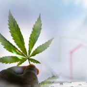 Making A Watchlist For April 2021? 2 Marijuana Penny Stocks To Watch Next Week