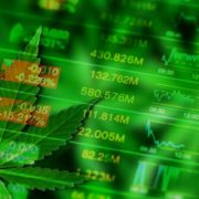 Marijuana Penny Stocks Could Hold Potential Gains In March