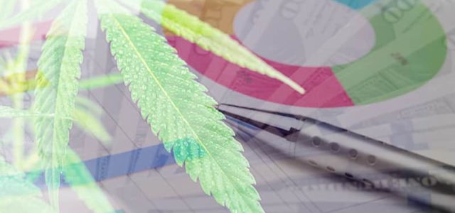 Marijuana Stocks To Buy This Week? This Is What Analysts Predict About These 2