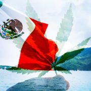 Mexico Passes New Cannabis Legislation To Go Full Rec