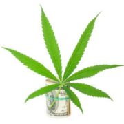To Profit from Marijuana Stocks, Investors Have to Consider This Important Fact
