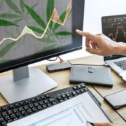 Top Marijuana Stocks Are Down In The Market, Are You Buying The Dip?